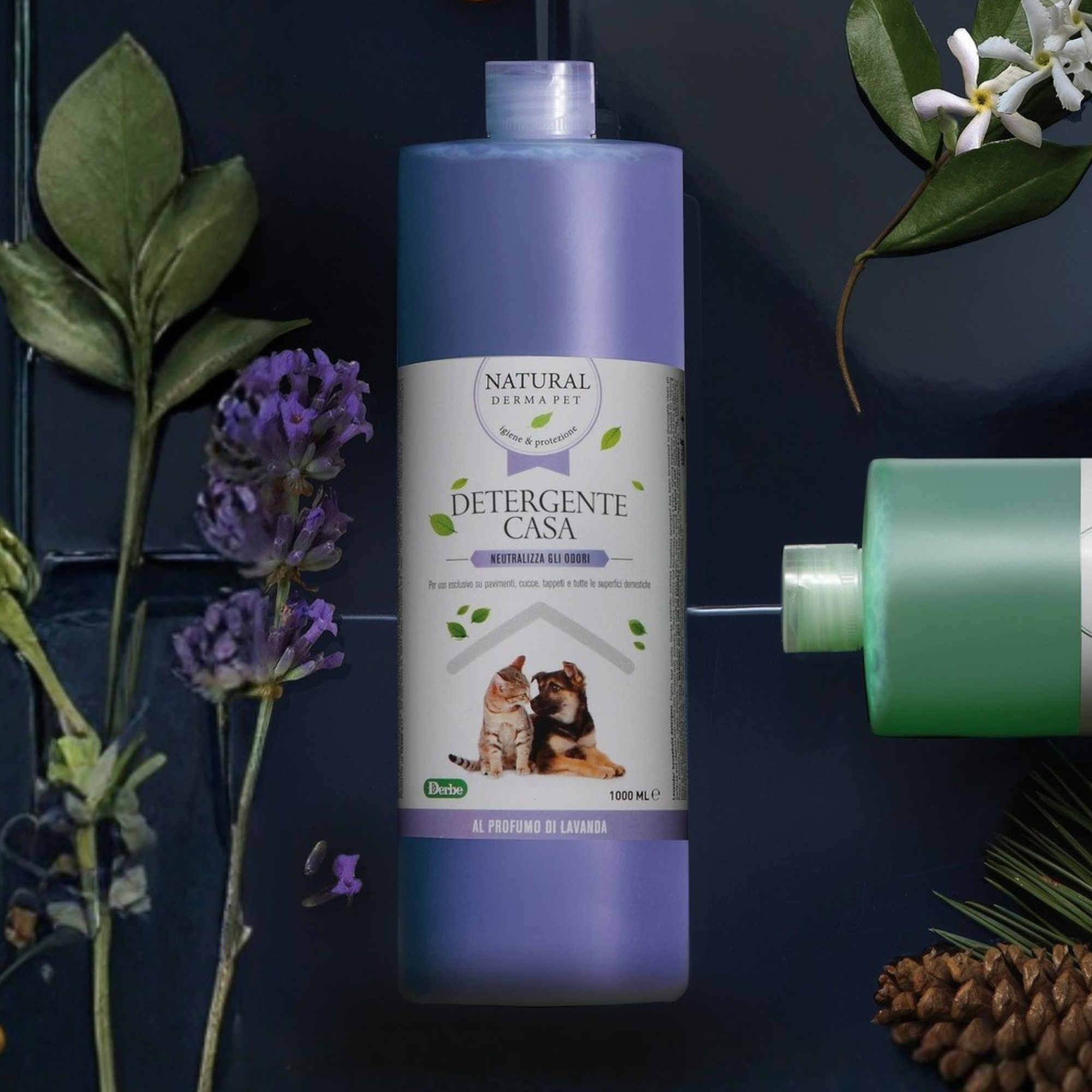 Stain & Odor Removers