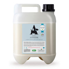 Dezodorujący szampon dla psów – cytrusy i eukaliptus